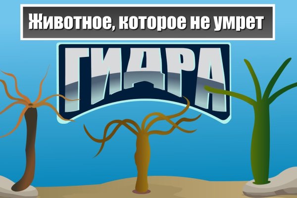 Kraken торговая площадка ссылка