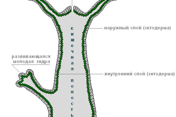 Кракен маркет даркнет скачать