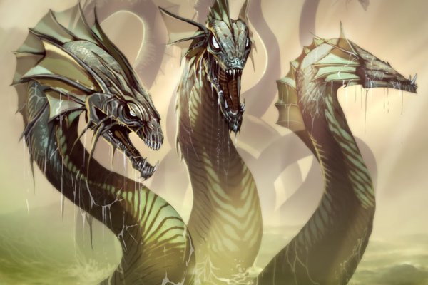 Kraken 12 at