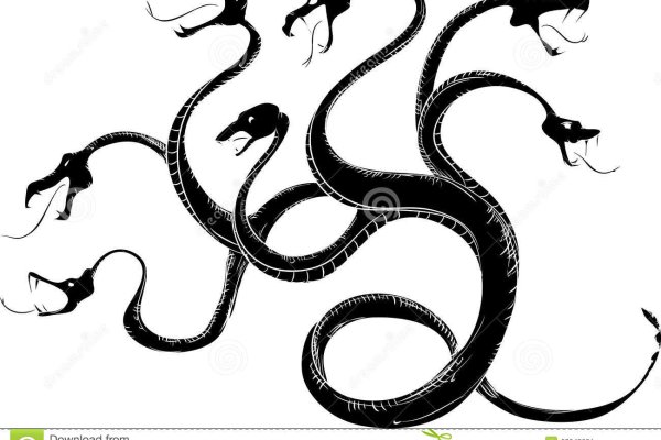 Kraken19at